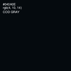 #040A0E - Cod Gray Color Image